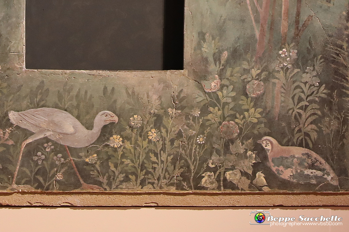 VBS_8806 - Mostra Invito a Pompei.jpg
